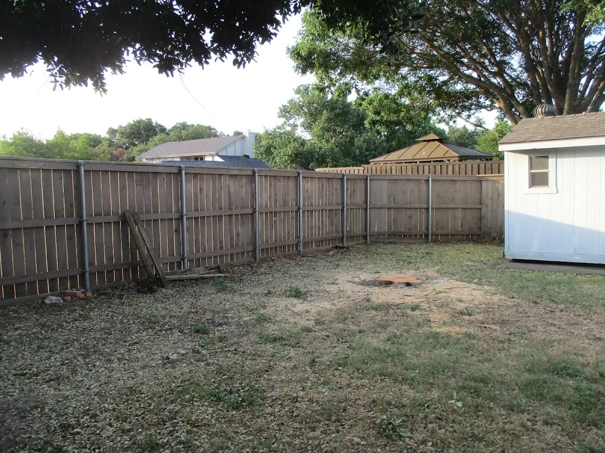 Cleared yard after professional tree removal in Donnybrook